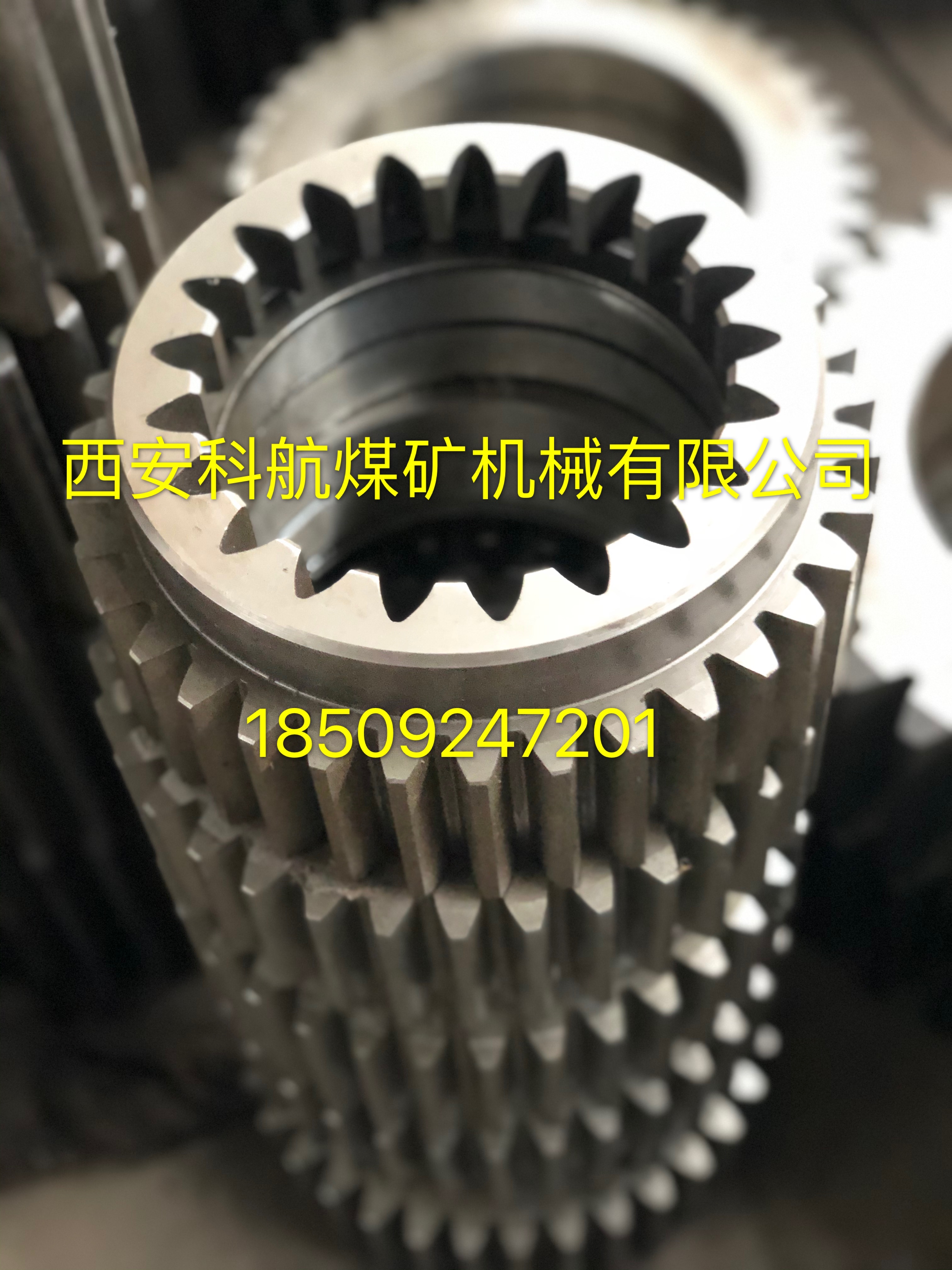 點擊查看詳細